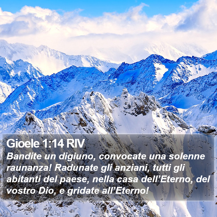 Gioele 1:14 RIV Bible Study