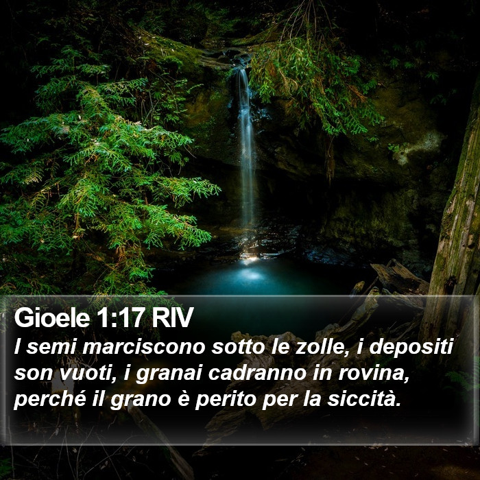 Gioele 1:17 RIV Bible Study