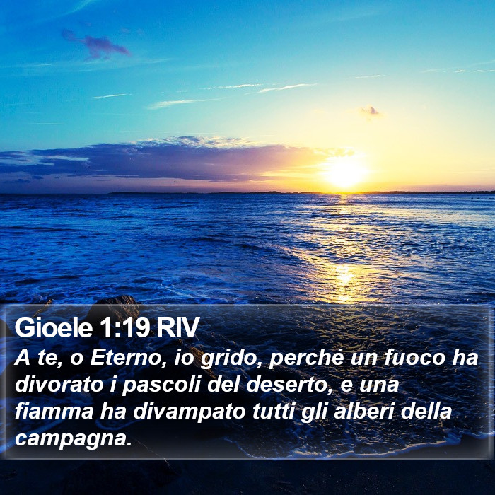 Gioele 1:19 RIV Bible Study