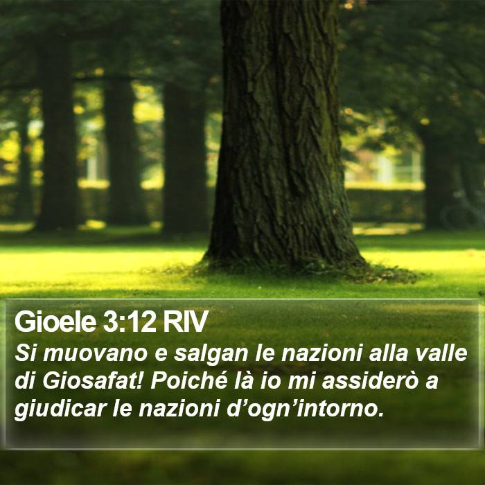 Gioele 3:12 RIV Bible Study