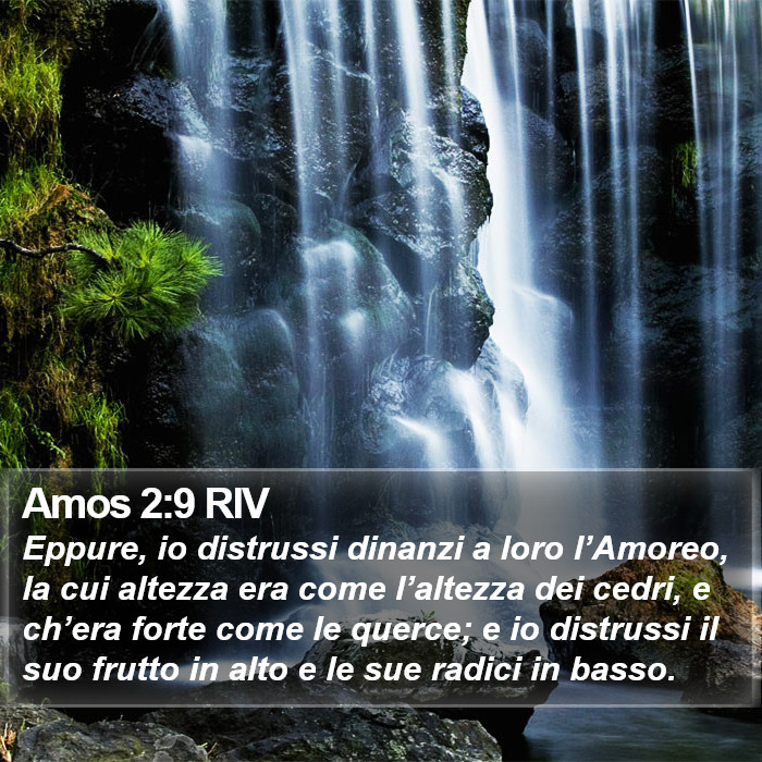 Amos 2:9 RIV Bible Study