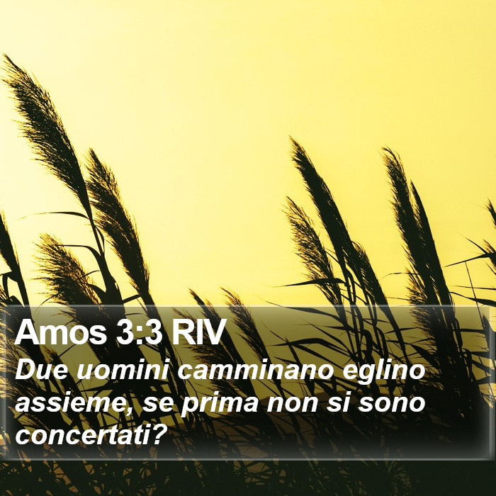 Amos 3:3 RIV Bible Study