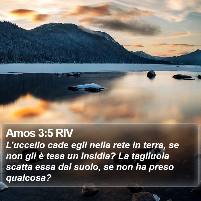 Amos 3:5 RIV Bible Study