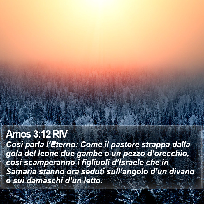 Amos 3:12 RIV Bible Study