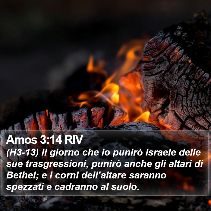 Amos 3:14 RIV Bible Study