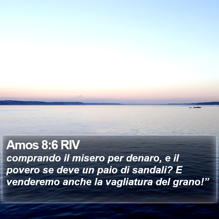 Amos 8:6 RIV Bible Study