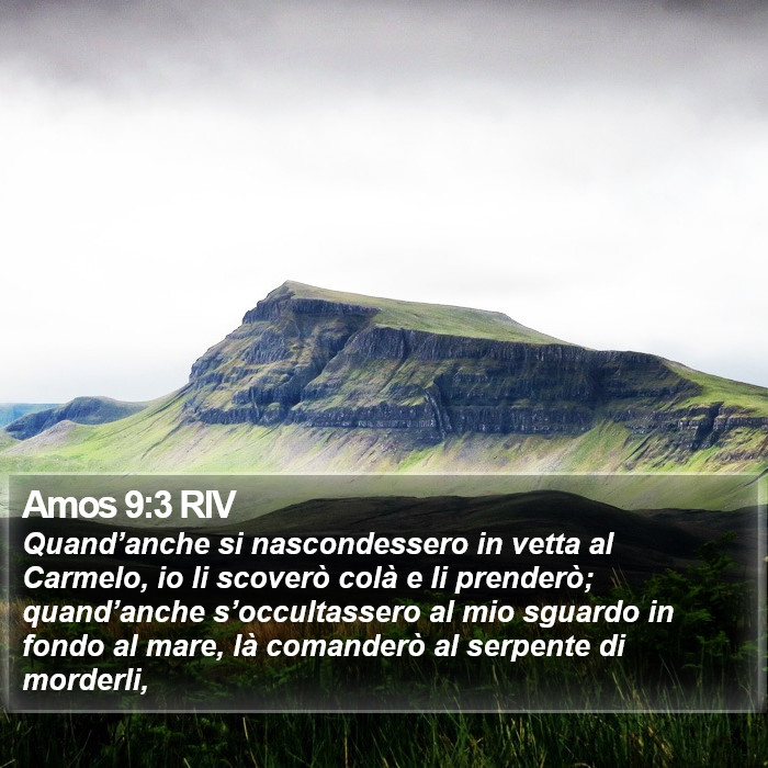 Amos 9:3 RIV Bible Study