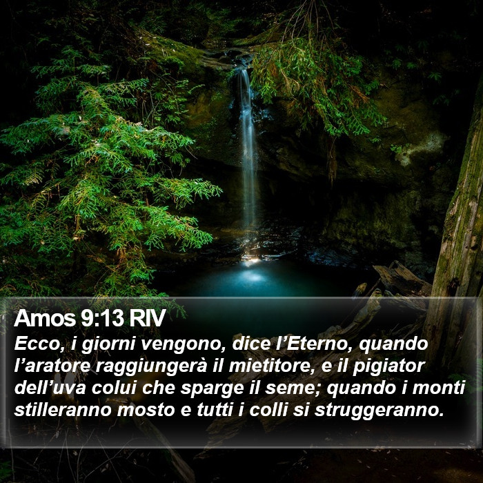 Amos 9:13 RIV Bible Study