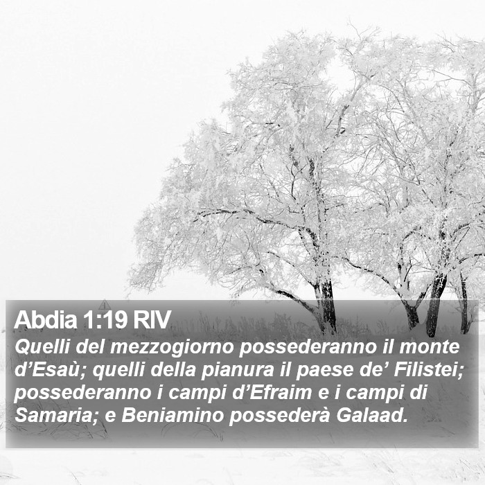 Abdia 1:19 RIV Bible Study