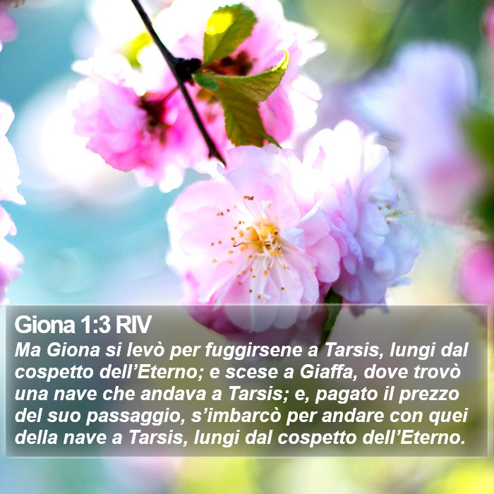 Giona 1:3 RIV Bible Study