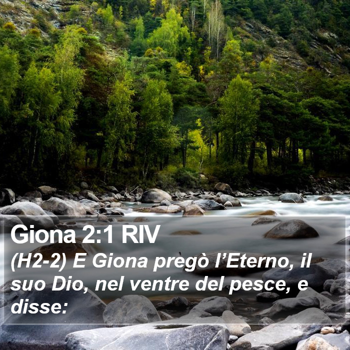 Giona 2:1 RIV Bible Study