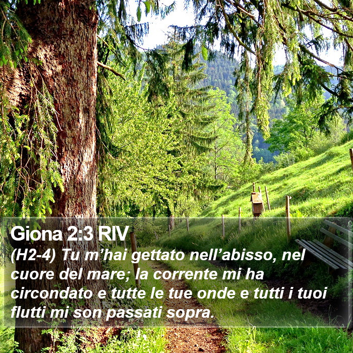 Giona 2:3 RIV Bible Study
