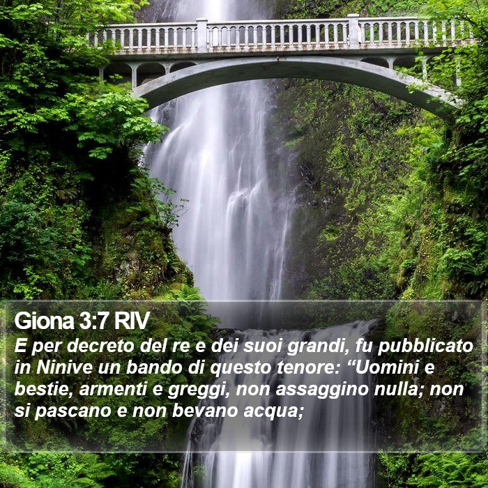 Giona 3:7 RIV Bible Study