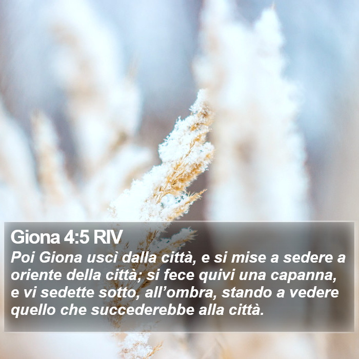 Giona 4:5 RIV Bible Study