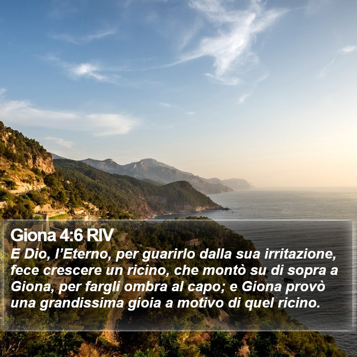 Giona 4:6 RIV Bible Study