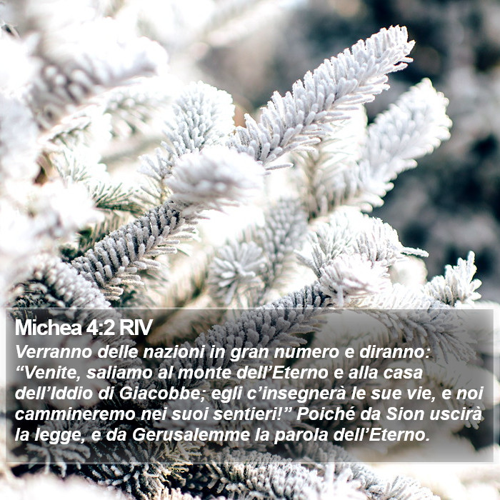 Michea 4:2 RIV Bible Study