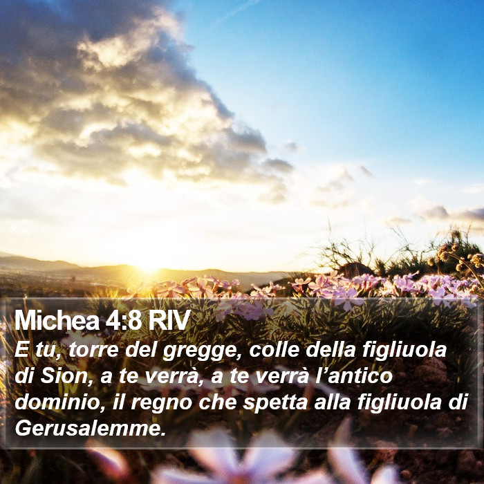 Michea 4:8 RIV Bible Study