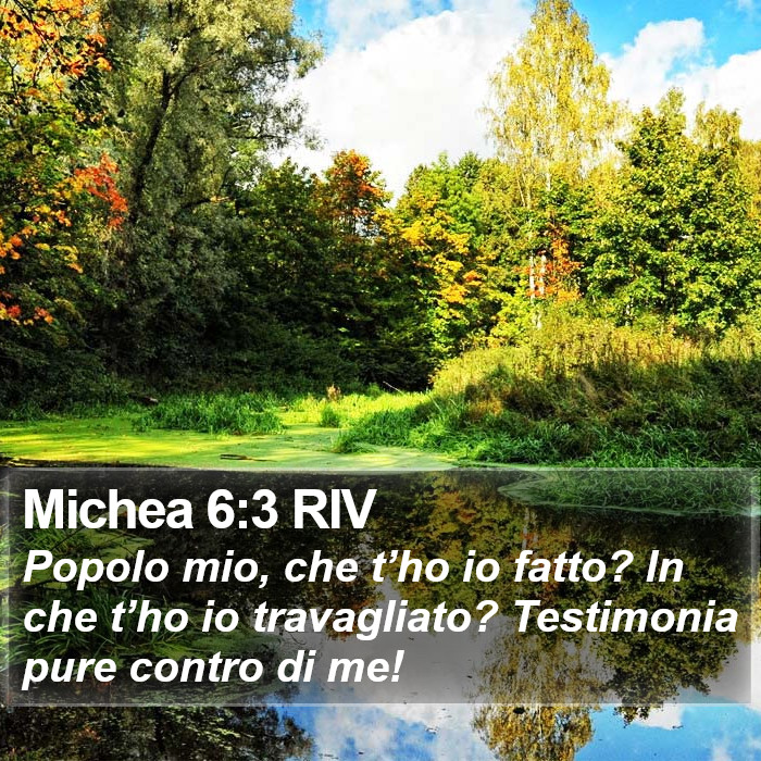 Michea 6:3 RIV Bible Study