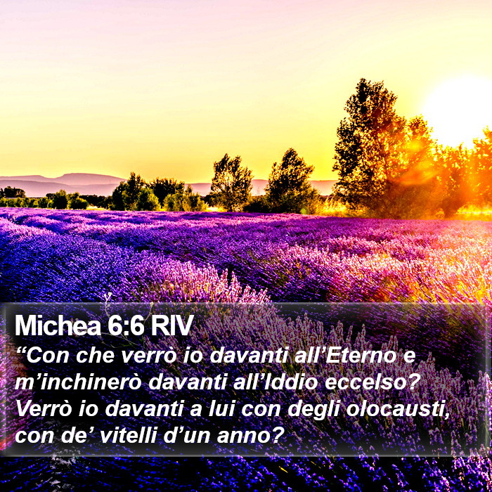 Michea 6:6 RIV Bible Study