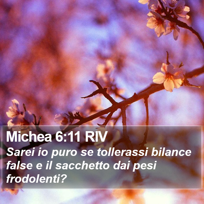 Michea 6:11 RIV Bible Study
