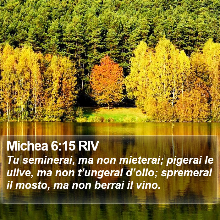 Michea 6:15 RIV Bible Study