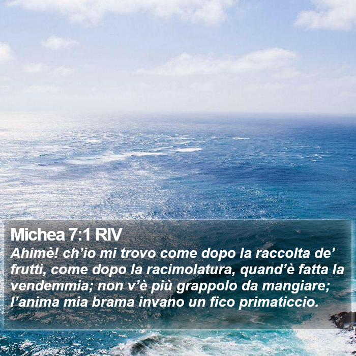 Michea 7:1 RIV Bible Study