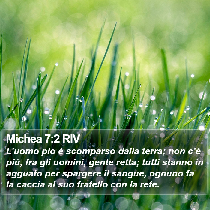 Michea 7:2 RIV Bible Study