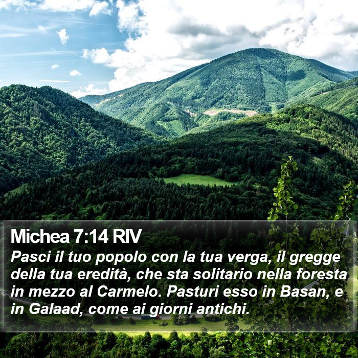 Michea 7:14 RIV Bible Study