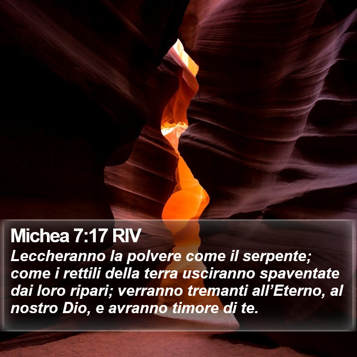 Michea 7:17 RIV Bible Study