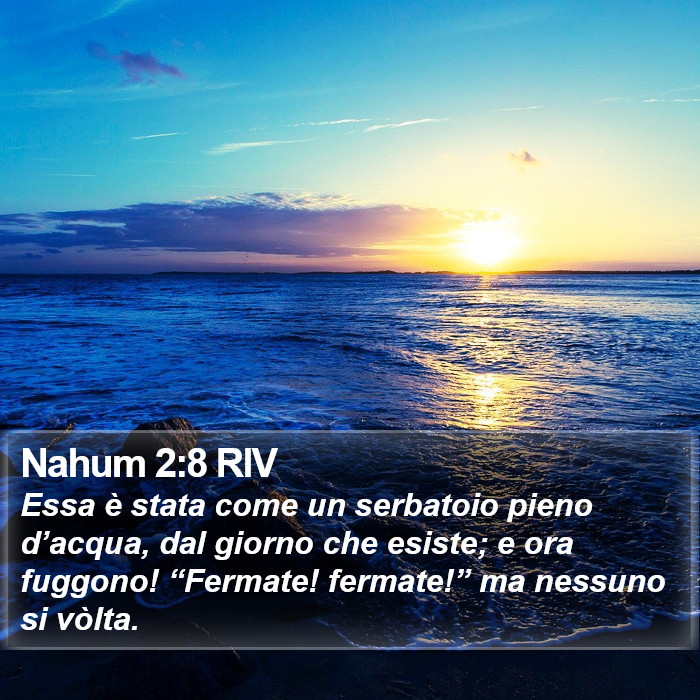 Nahum 2:8 RIV Bible Study