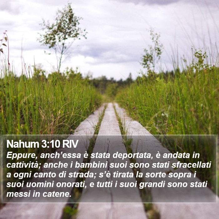 Nahum 3:10 RIV Bible Study