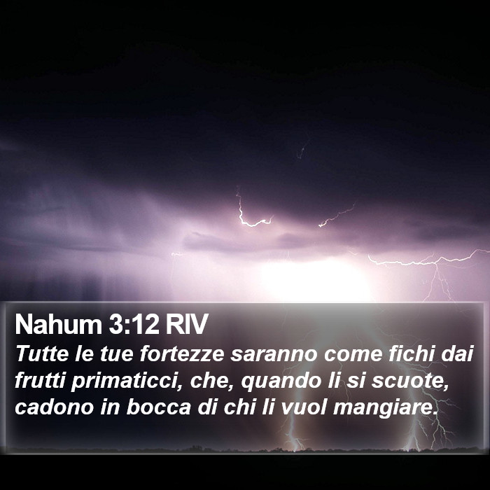 Nahum 3:12 RIV Bible Study