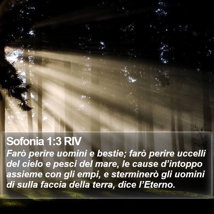 Sofonia 1:3 RIV Bible Study