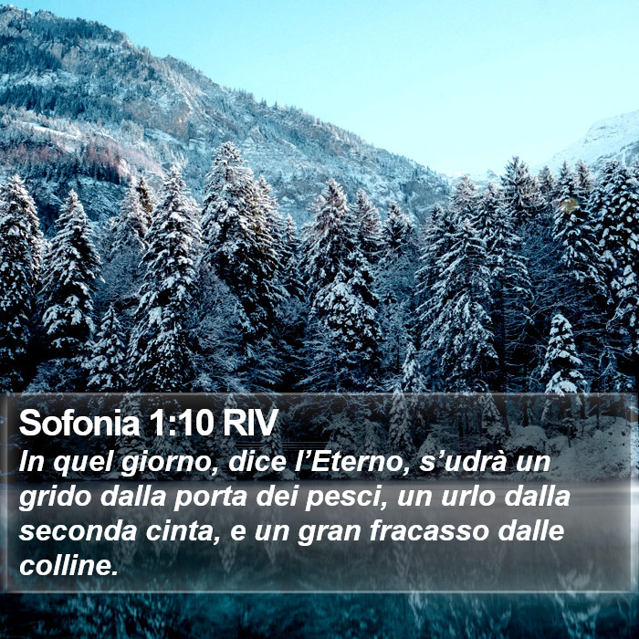 Sofonia 1:10 RIV Bible Study