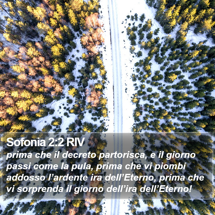 Sofonia 2:2 RIV Bible Study