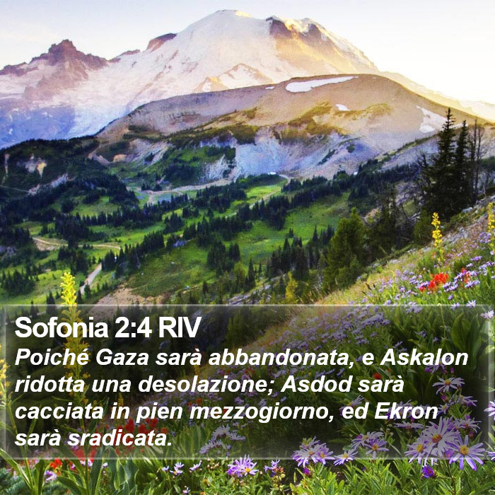 Sofonia 2:4 RIV Bible Study