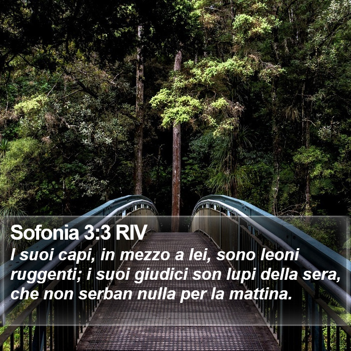 Sofonia 3:3 RIV Bible Study