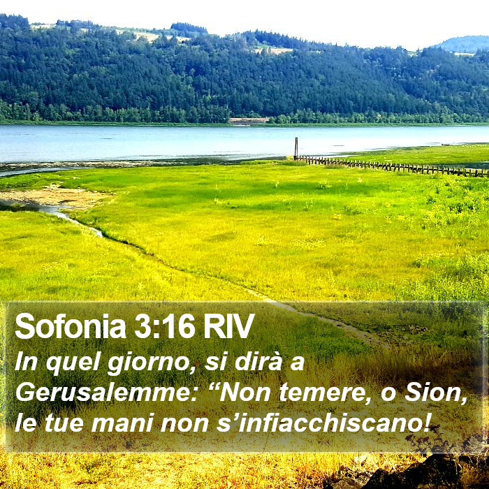 Sofonia 3:16 RIV Bible Study