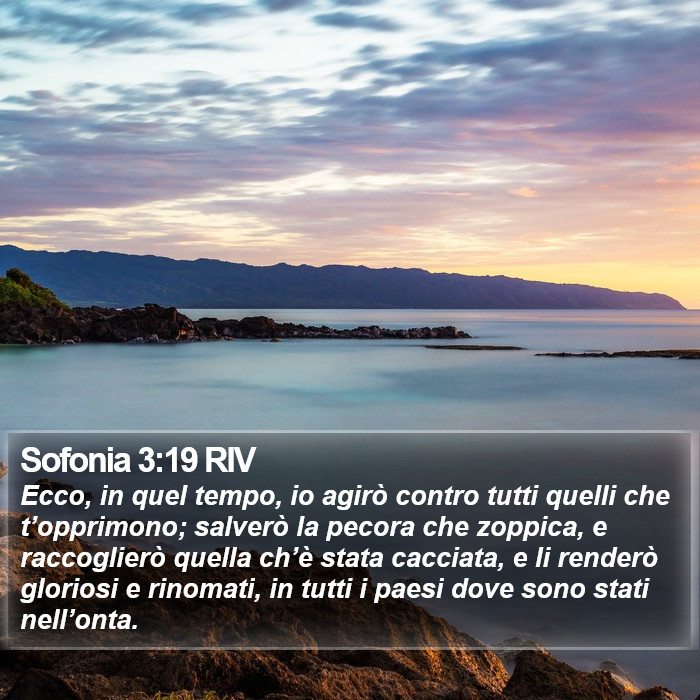 Sofonia 3:19 RIV Bible Study