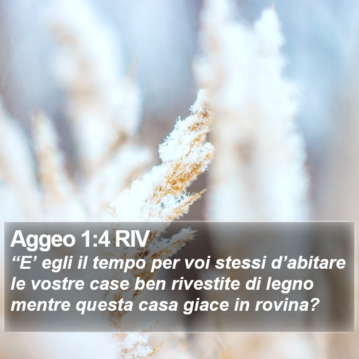 Aggeo 1:4 RIV Bible Study