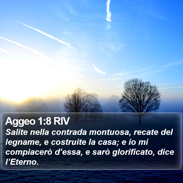 Aggeo 1:8 RIV Bible Study