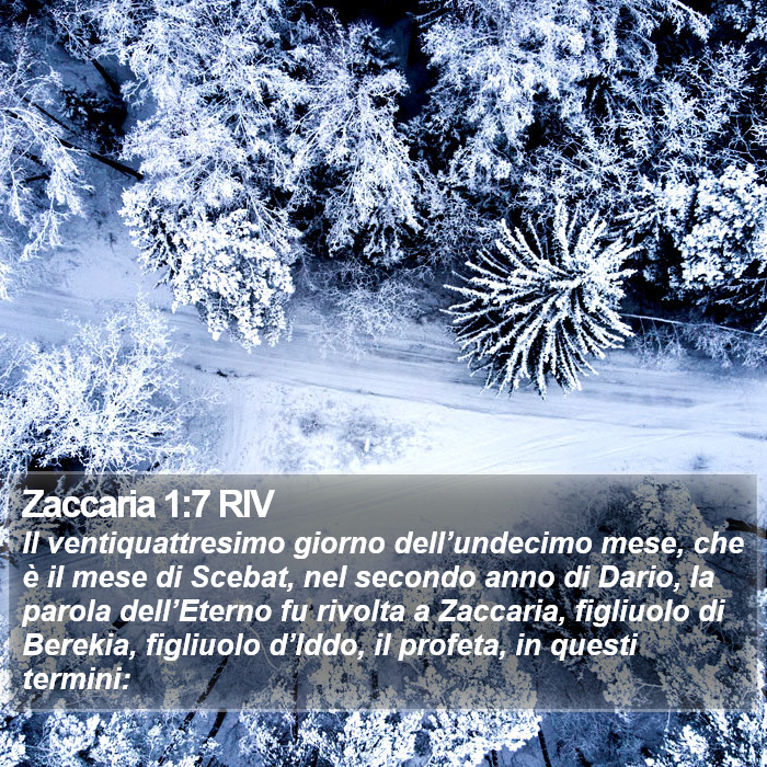 Zaccaria 1:7 RIV Bible Study