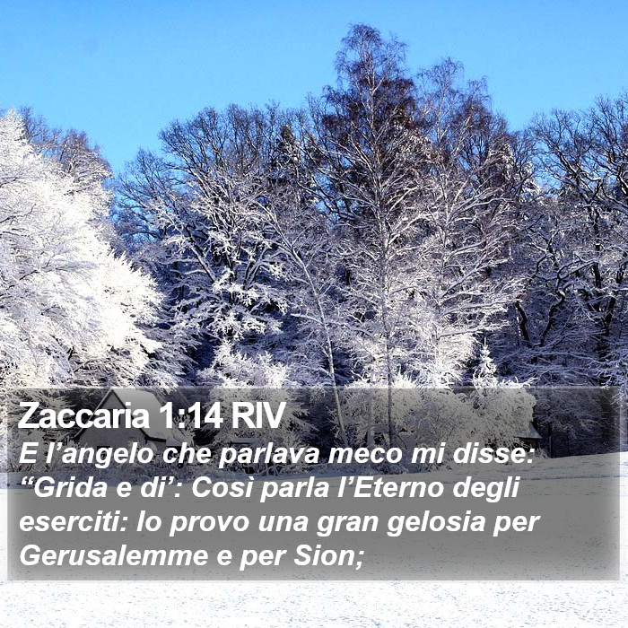 Zaccaria 1:14 RIV Bible Study