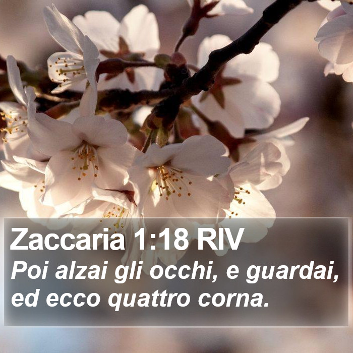 Zaccaria 1:18 RIV Bible Study