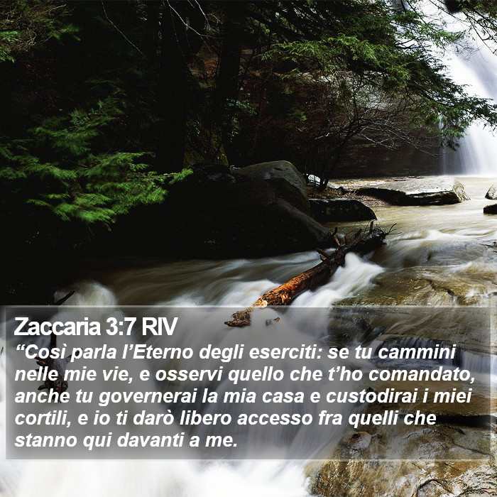 Zaccaria 3:7 RIV Bible Study