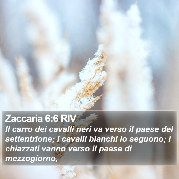 Zaccaria 6:6 RIV Bible Study
