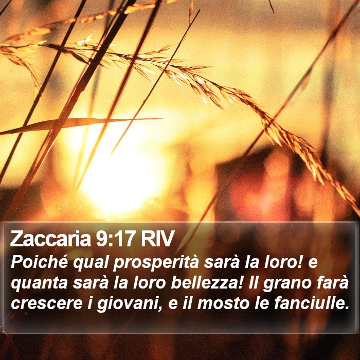 Zaccaria 9:17 RIV Bible Study