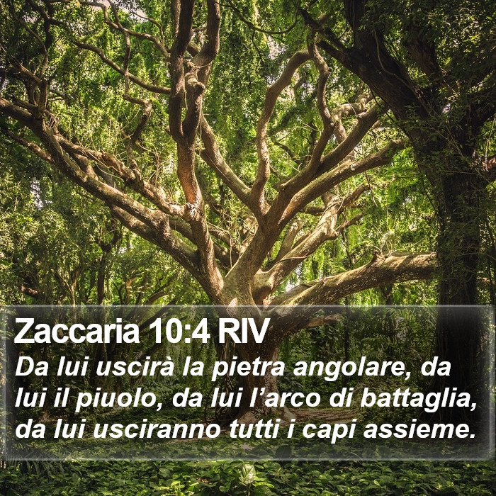 Zaccaria 10:4 RIV Bible Study