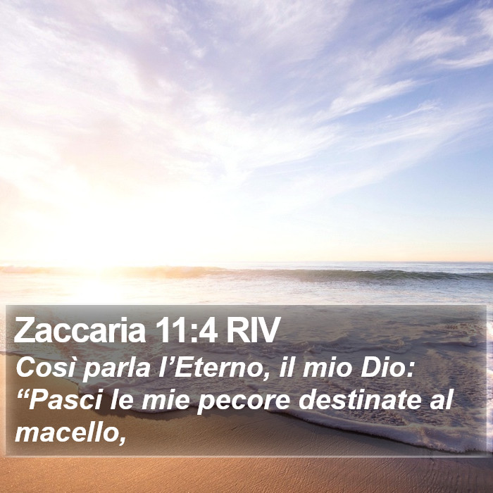 Zaccaria 11:4 RIV Bible Study