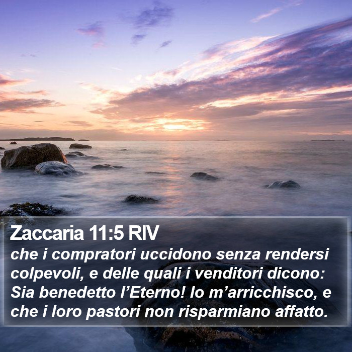 Zaccaria 11:5 RIV Bible Study